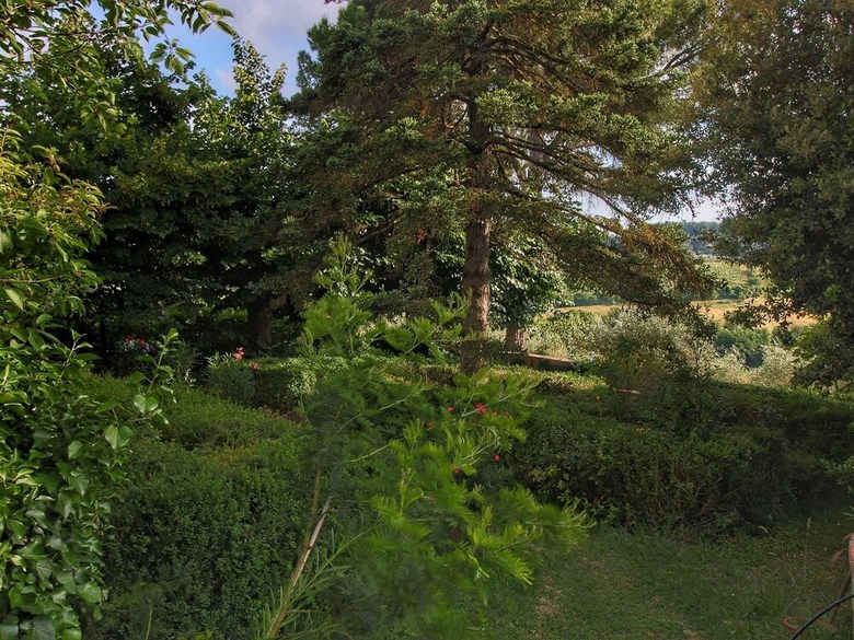 Agroturismo Cypresses, Olive Trees, Panoramic Views, Near Siena