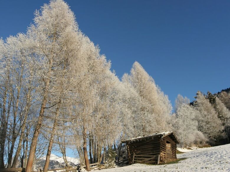 Beautiful Apartment In Kampl With Garden