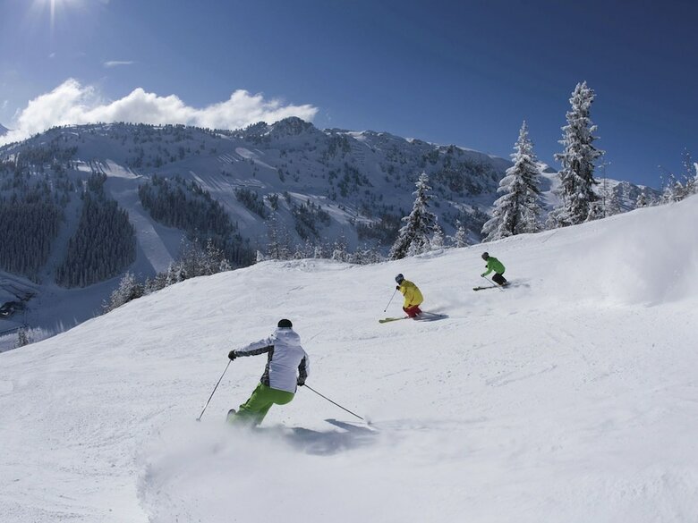 Idyllic Apartment In Hippach With Ski-storage Near Ski Area