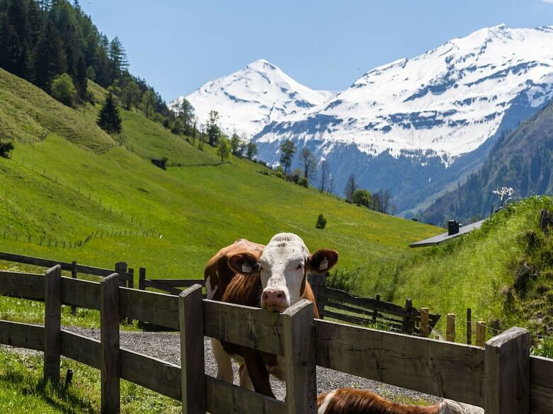 Lovely Apartment In Rauris With Swimming Pool