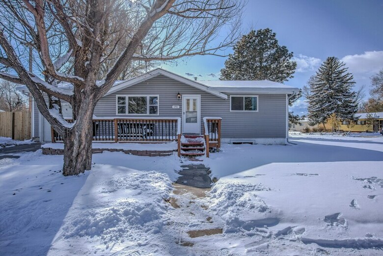 Colorado Springs Uccs Grey Cottagedog Friendly!