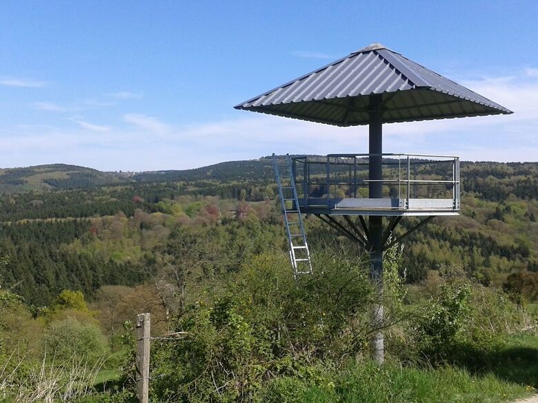 Dreamy Holiday Home In Fays With Sauna
