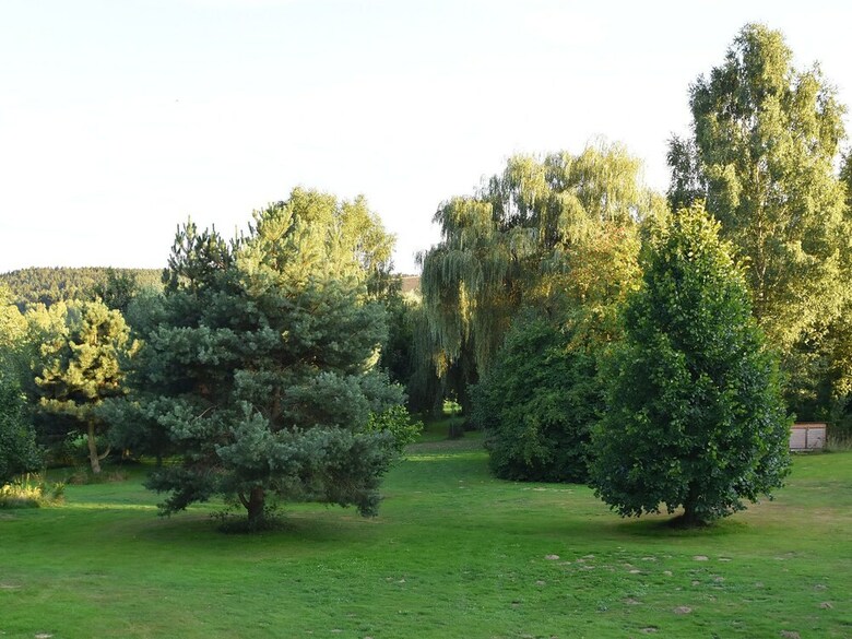 Apartment In Regen With Terrace, Garden, Bbq, Pool, Hammock