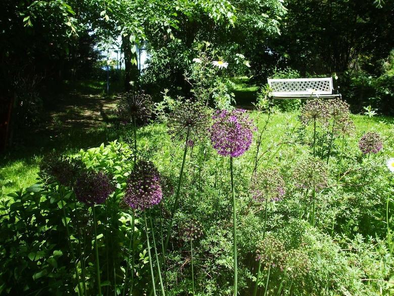 Quaint Holiday Home In Pionsat With Garden