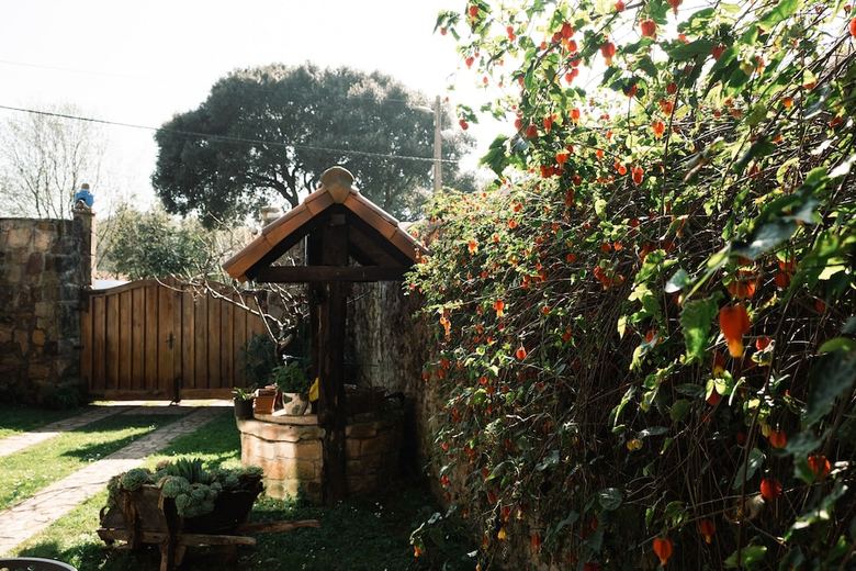 Agroturismo Posada Y Apartamentos El Cafetal