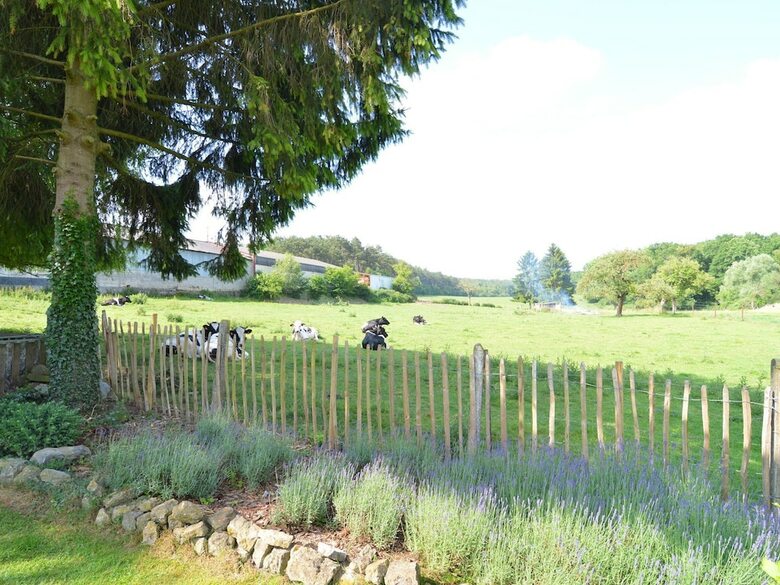 Charming Cottage, Tastefully Presented And Located In The Meuse Valley