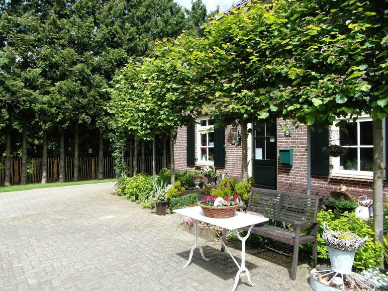 Ranquil Holiday Home In Bronckhorst Near Forest"