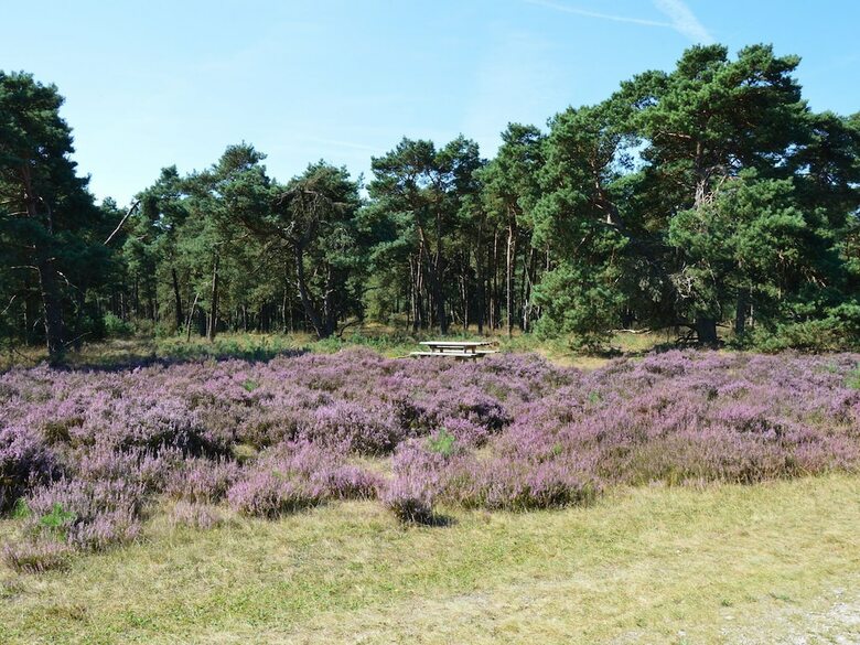 Tasteful Chalet With Veranda In The Veluwe