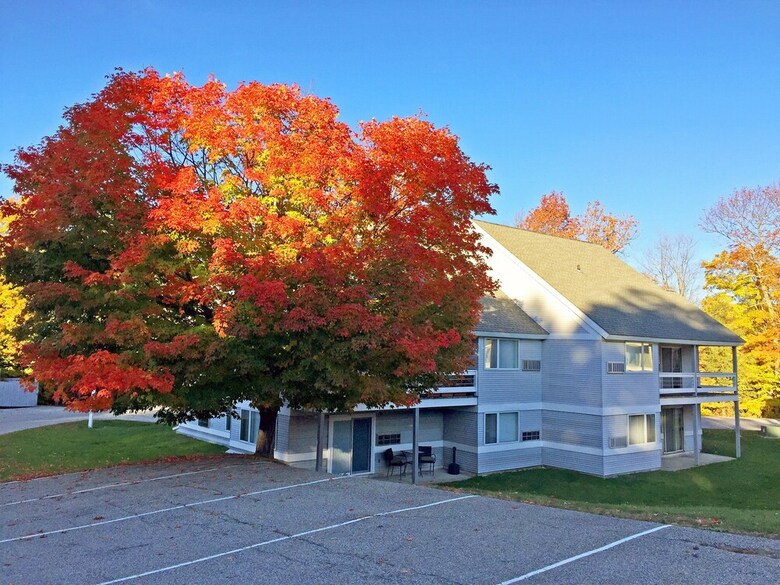 The Killington Style Suite: Modern, Central Condo, 2rm #222