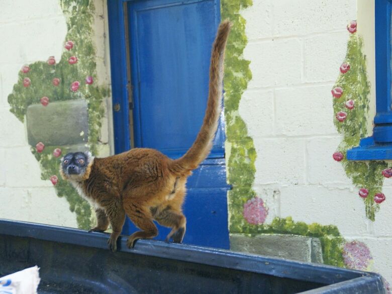 Beautiful Holiday Home With Pool, Bbq, Garden, Deckchairs