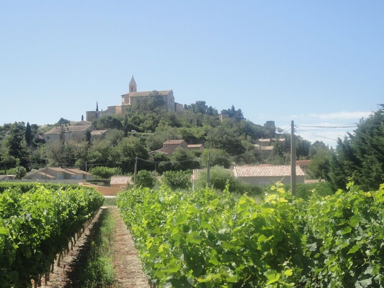 Lush Villa In Cairanne Provence With Private Pool