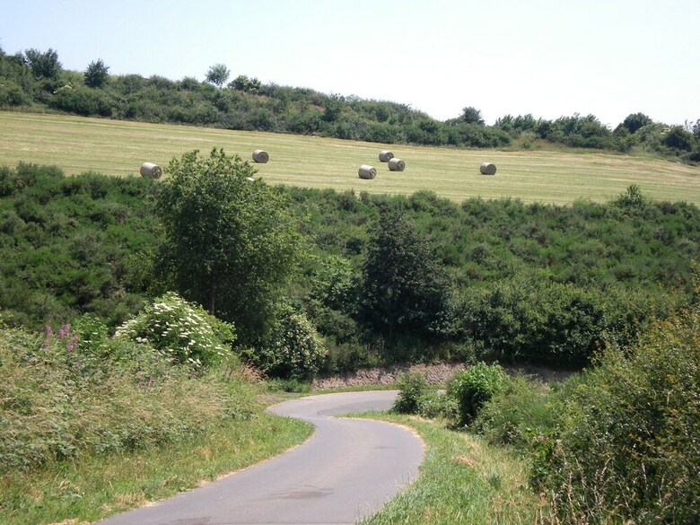 Enjoy A Holiday On The Farm In A Quiet Area