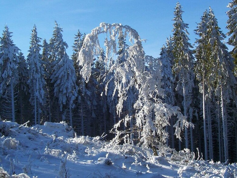 Serene Apartment Near Ski Area In Hesborn