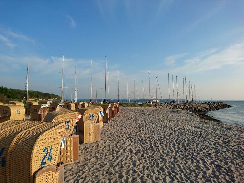 Seaside Bungalow With Terrace, Garden, Barbecue, Parking