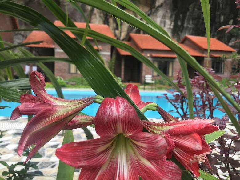 Hotel Trang An Central Homestay