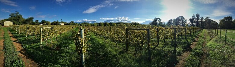 Agroturismo de Doornkraal Vinotel