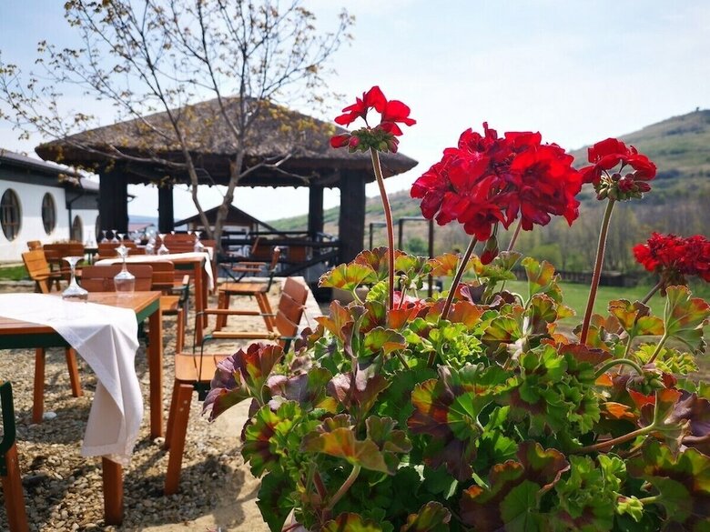 Agroturismo Ferma Dacilor
