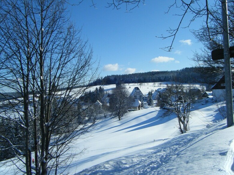 Charming Apartment In Sch�nwald Im Schwarzwald With Sauna