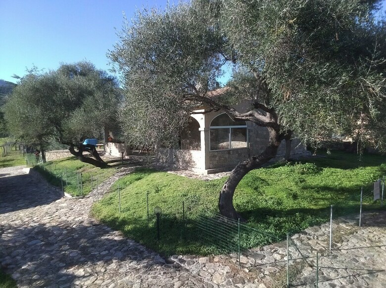 Hotel Schifoni House