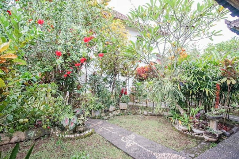 Hotel Lecuk Homestay