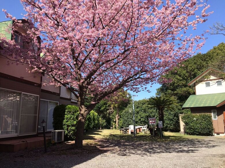 Aparthotel Jogasaki Orange Mura