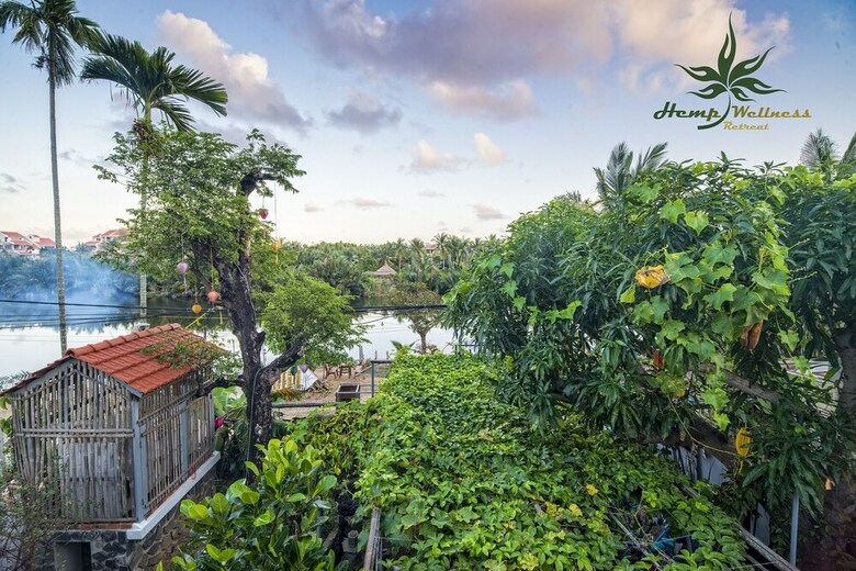 Bed & Breakfast Hemp Wellness Retreat