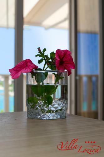 Apartamentos Villa Lozica