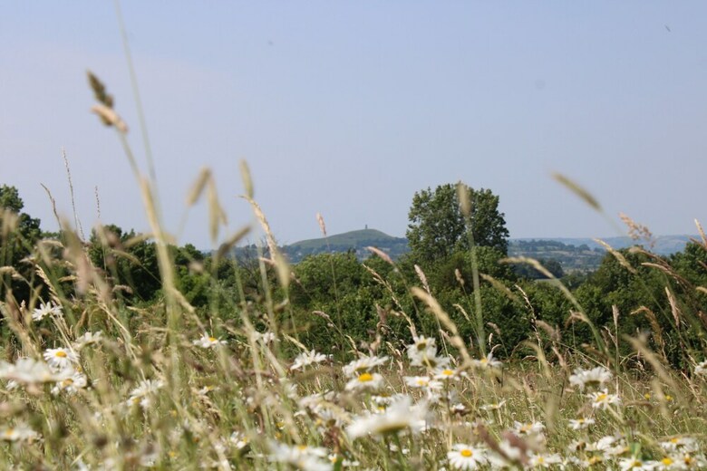 Hotel Banbury Meadow