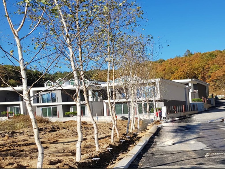 Polaris 700 - 203dong 3