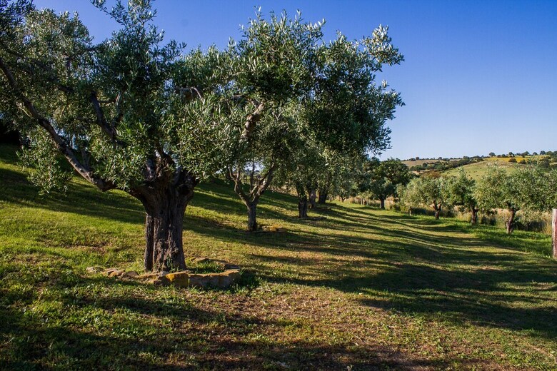 Agroturismo Agriturismo Echi D'etruria