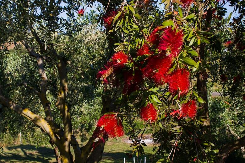 Agroturismo Agriturismo Echi D'etruria