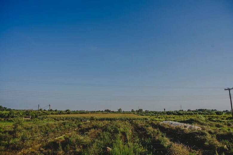 Hotel Orangia Ecohosting Farm