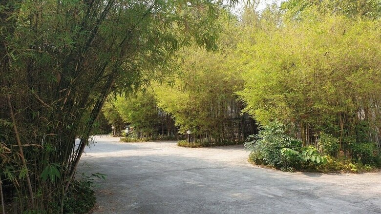 Hotel Oyo Black Bamboo Resort