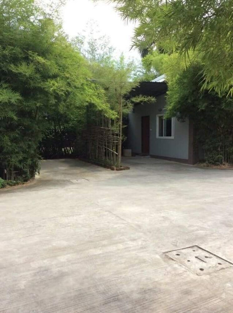 Hotel Oyo Black Bamboo Resort