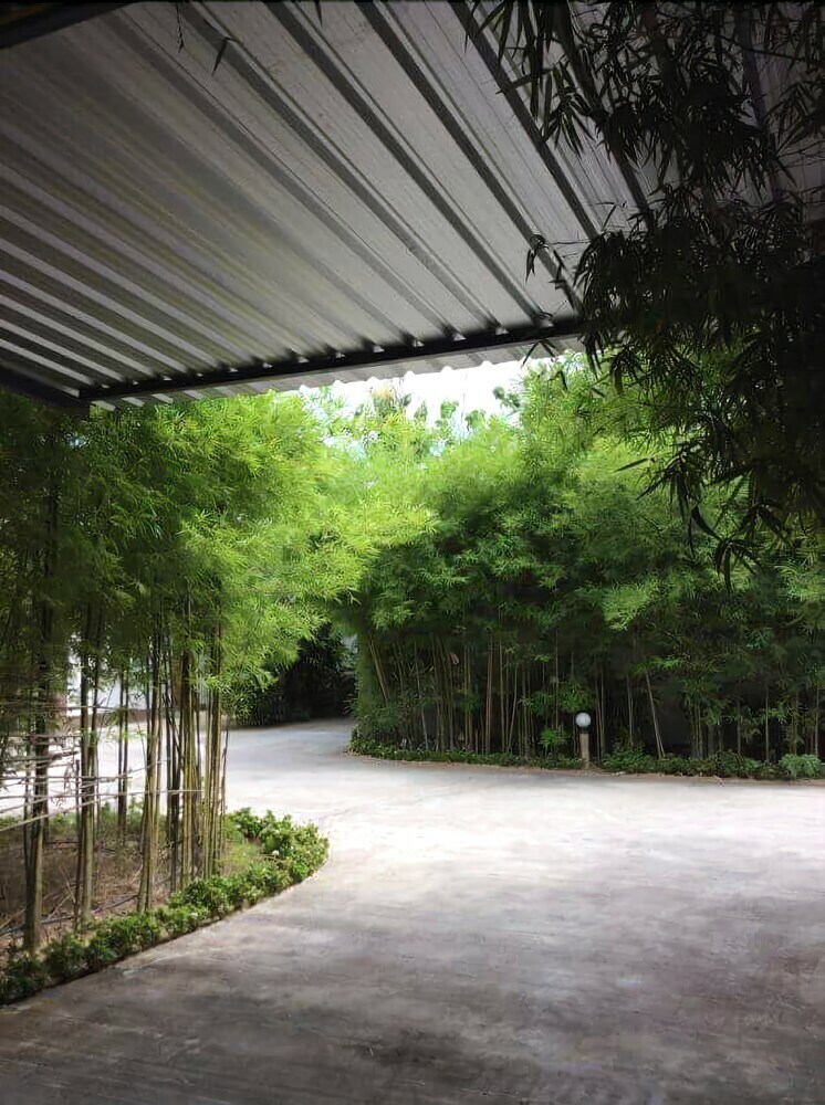 Hotel Oyo Black Bamboo Resort