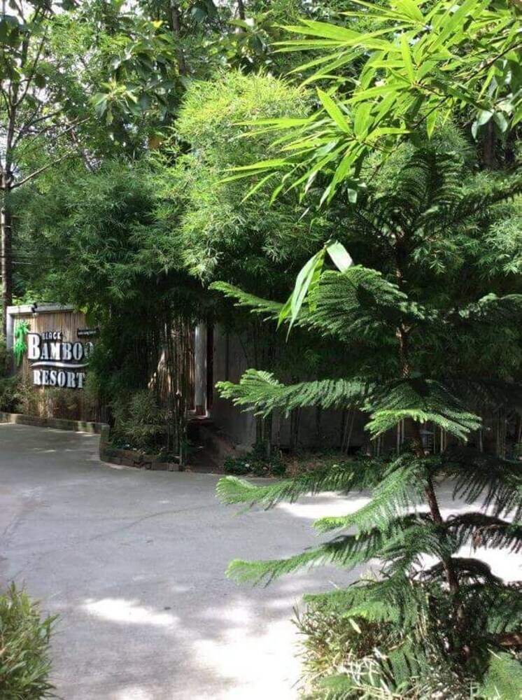 Hotel Oyo Black Bamboo Resort