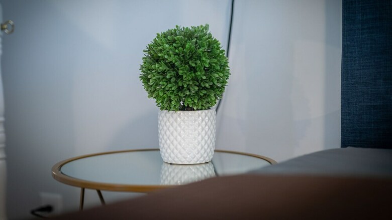 4 Bedroom, Kelford Lane