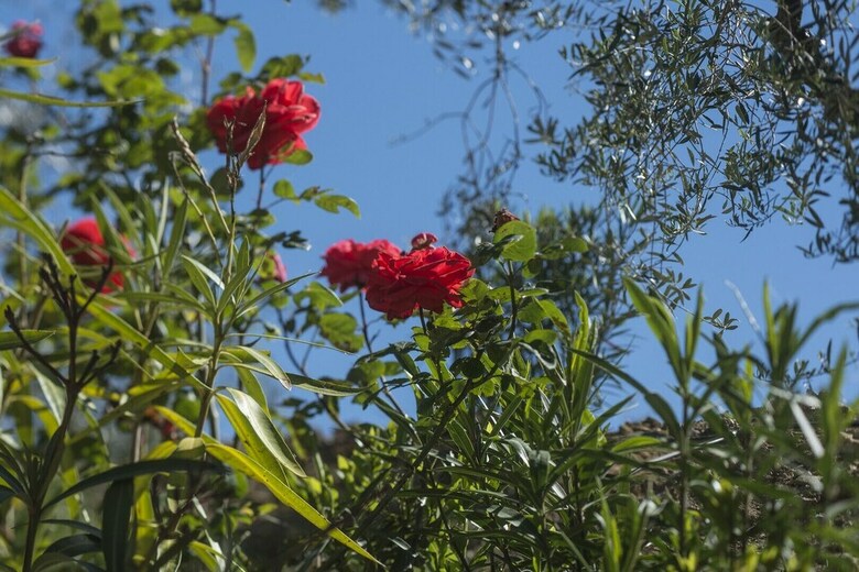 Apartamento Luxury Chianti For Four