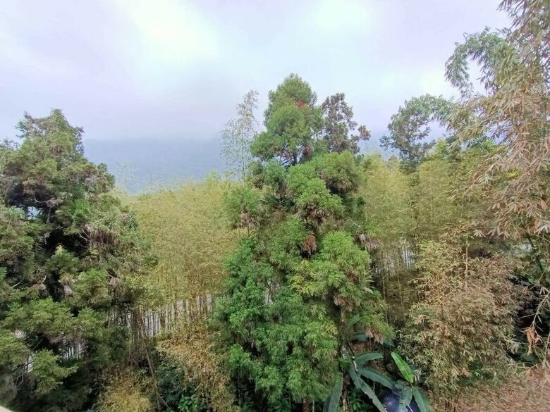 Bed & Breakfast Tian Pin Guest House
