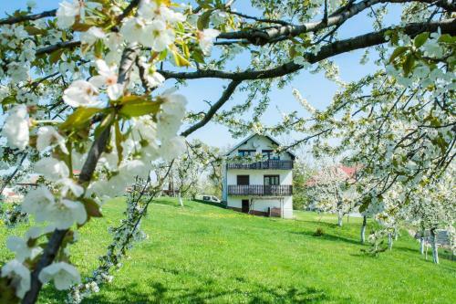 Hostal House ?pehar