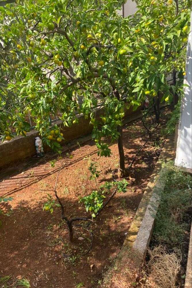 Apartamentos Holiday Home Roko&iva