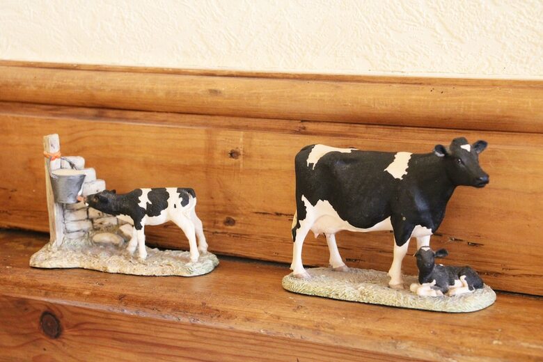 Bed & Breakfast Fernydale Farm