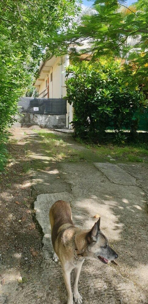 Apartamento Studio In Saint-pierre, With Enclosed Garden And Wifi