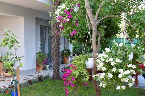 Apartments & Rooms Marinka