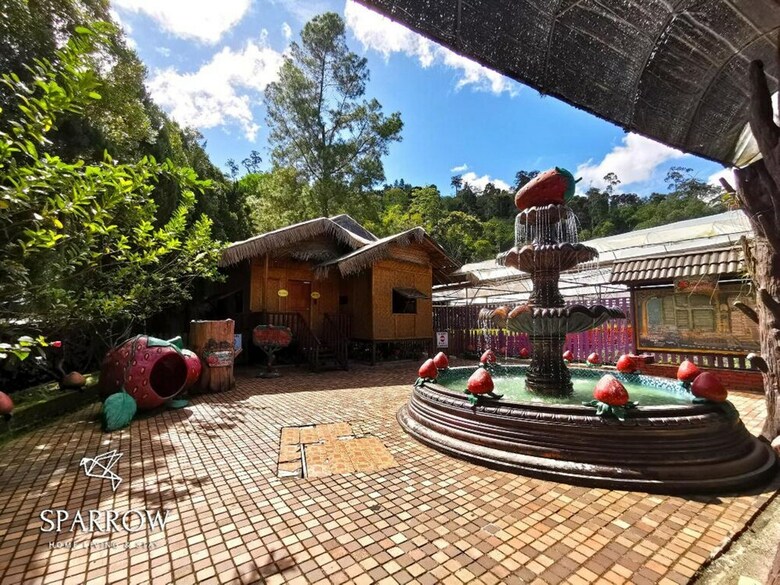 Apartamentos Sparrow Strawberry Farm Homes