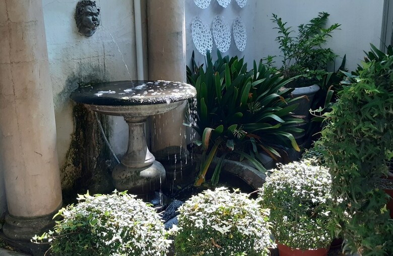 Bed & Breakfast Belvedere Folly