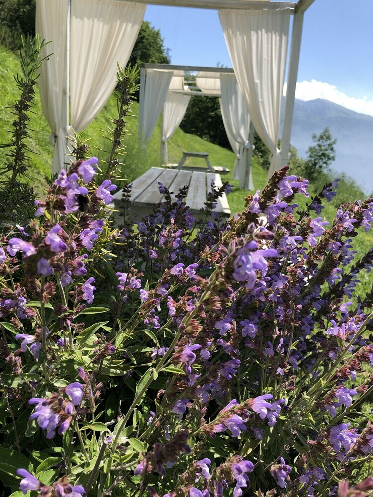 Apartamento Borgo Le Vigne - L'uva Rara