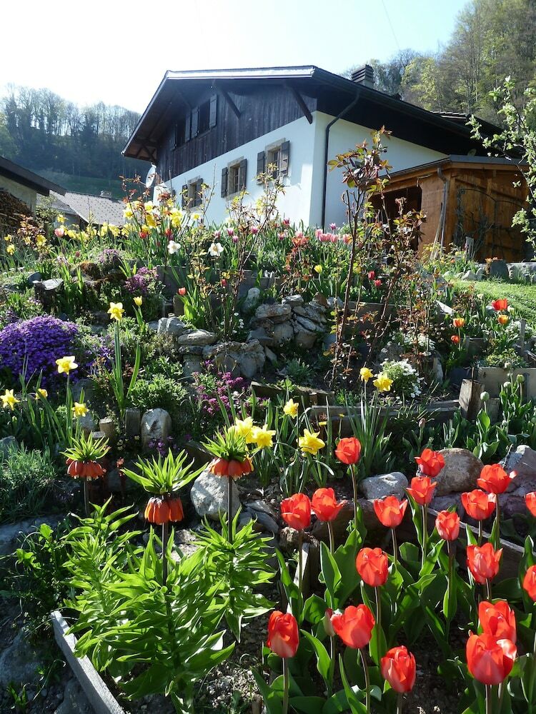 Bed & Breakfast Le Jardin Fleuri