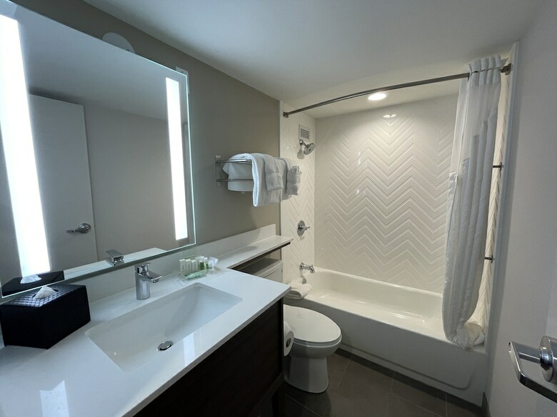 Hotel Holiday Inn Downtown Chicago