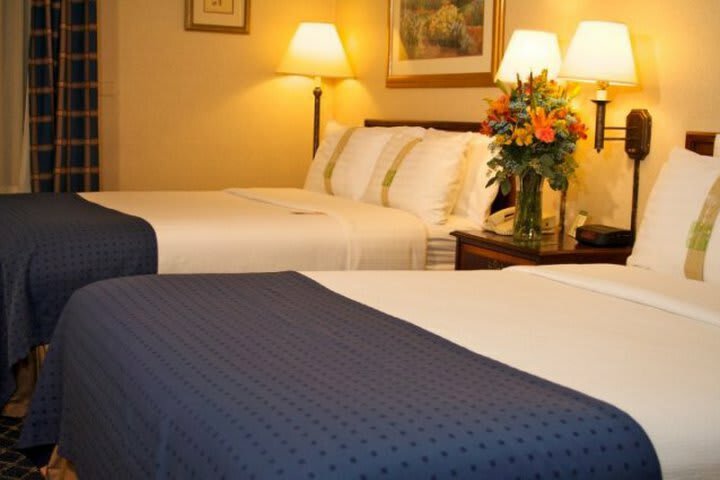 Hotel Holiday Inn Downtown Chicago